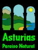 Sobre el Principado de Asturias.