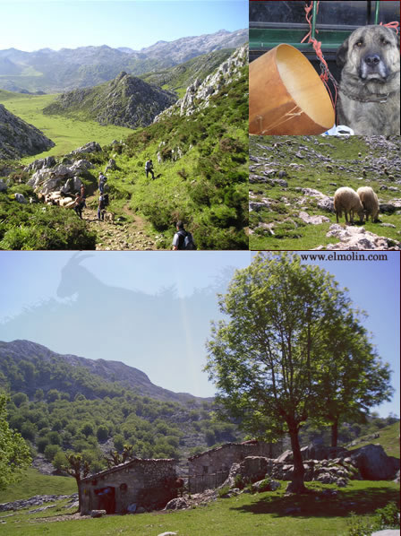Cangas de Onís Picos de Europa. Asturias